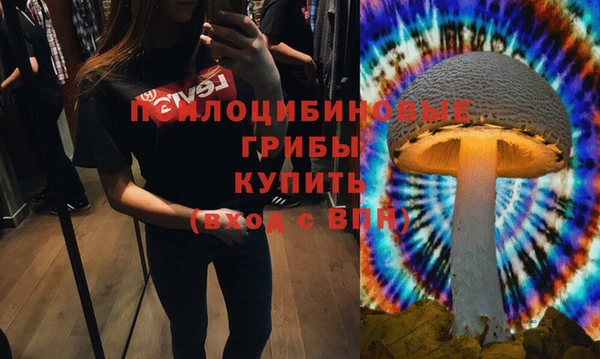 МДПВ Алексеевка