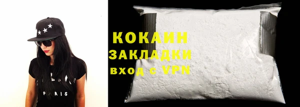 твердый Инта