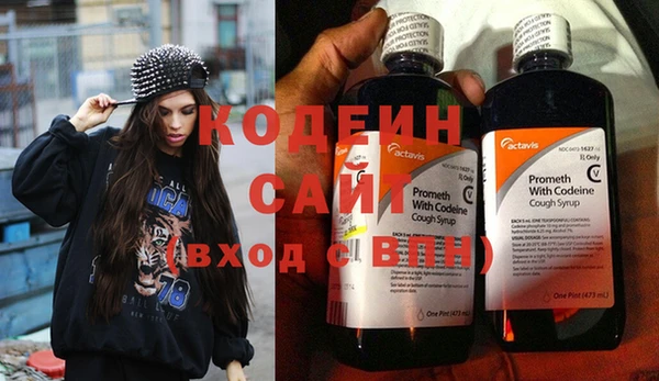 ешки Иннополис