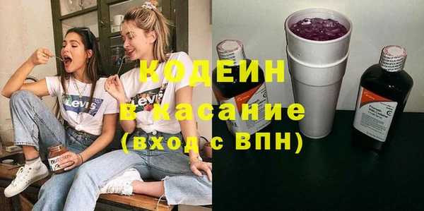 ешки Иннополис