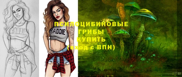 МДПВ Алексеевка