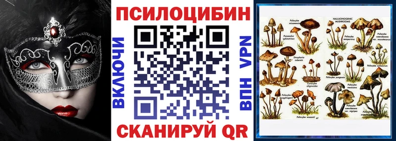 купить  цена  Березники  Псилоцибиновые грибы GOLDEN TEACHER 